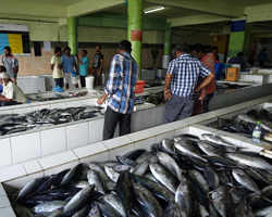Leaving the Park Hyatt Maldives & Touring Male