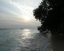 Things to do at the Park Hyatt Maldives